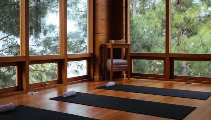 Dhensa Resort Punakha Faciliteter billede